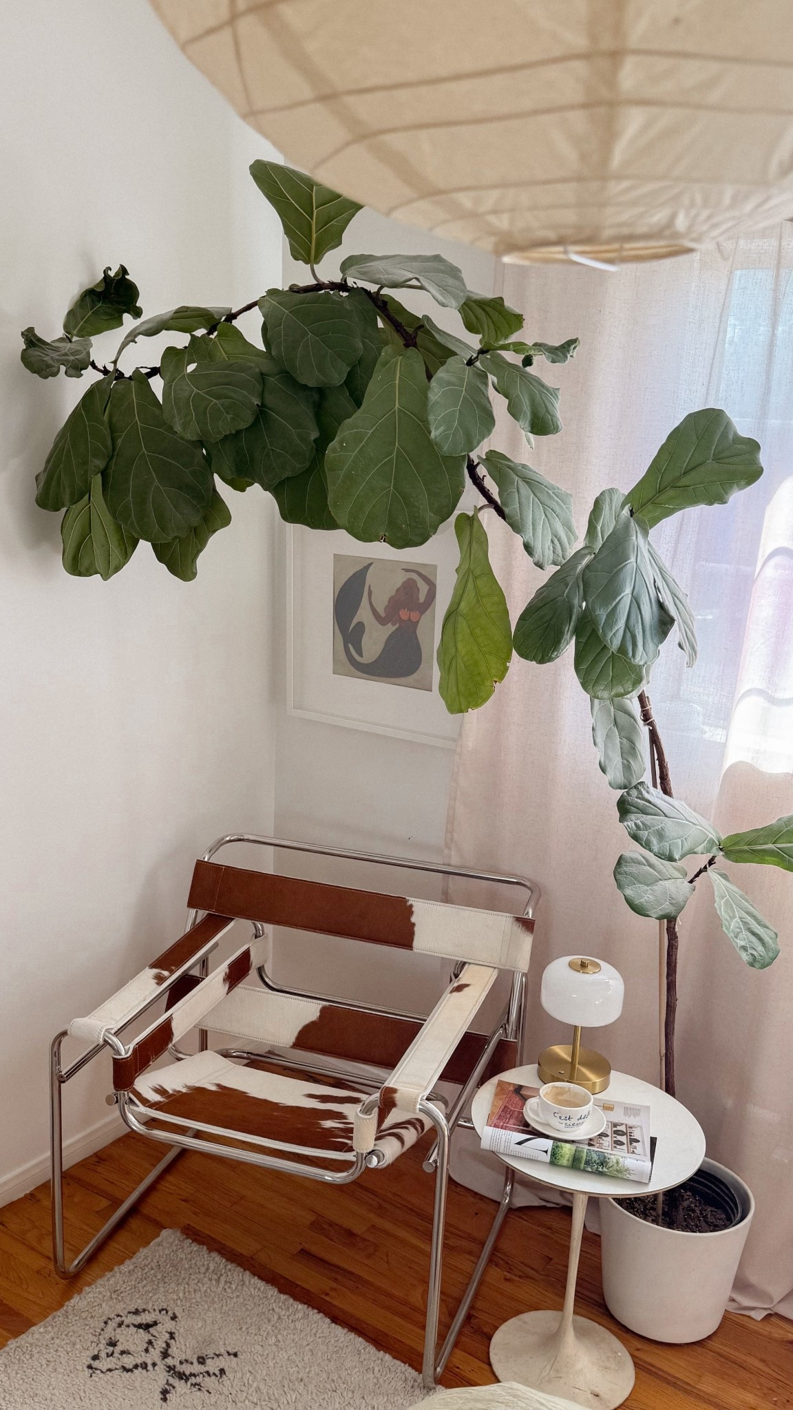 Cozy corner details 🤍✨My new fave morning hang spot with the dreamy Wassily chair from @manhattanhomedesign. The lines and structure are just too good. It’s modern yet timeless, and turned this whole nook into a mellow spot to unplug. Linked this chair and a few more faves on LTK!  #ad #liketkit #ltkhome @shop.ltk #mcm #midcenturymodern #mcmfurniture #homedecor #apartmentdecor