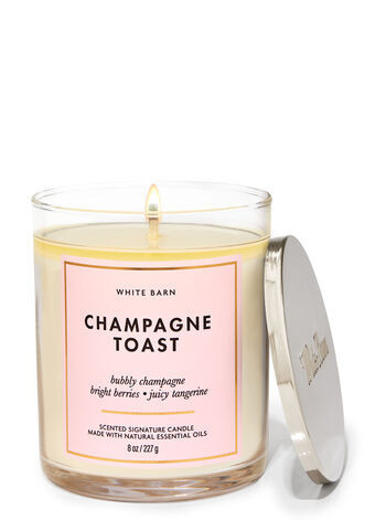 Champagne Toast


Signature Single Wick Candle | Bath & Body Works