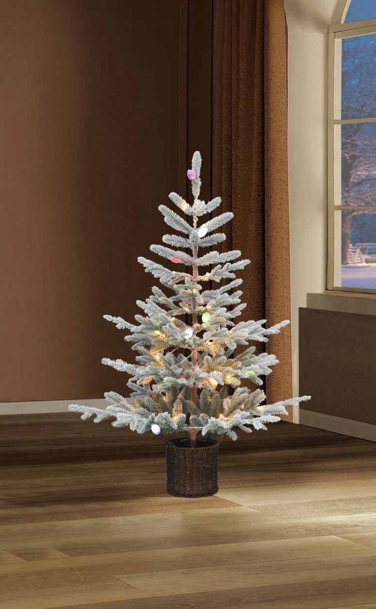 Holiday time Christmas collection!!


#LTKSeasonal #LTKHome