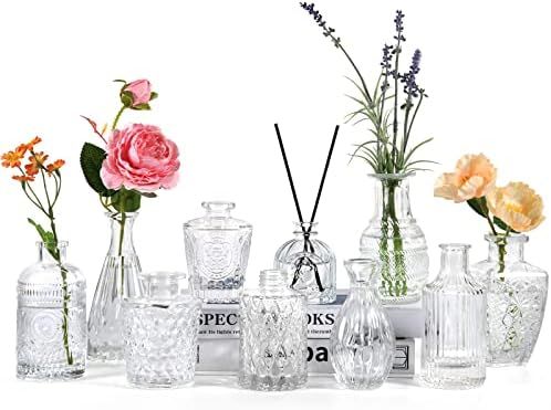 BIGIVACA Set of 10 Glass Bud Vases,Small Vases for Flowers,Clear Single Bud Vases in Bulk,Mini De... | Amazon (US)