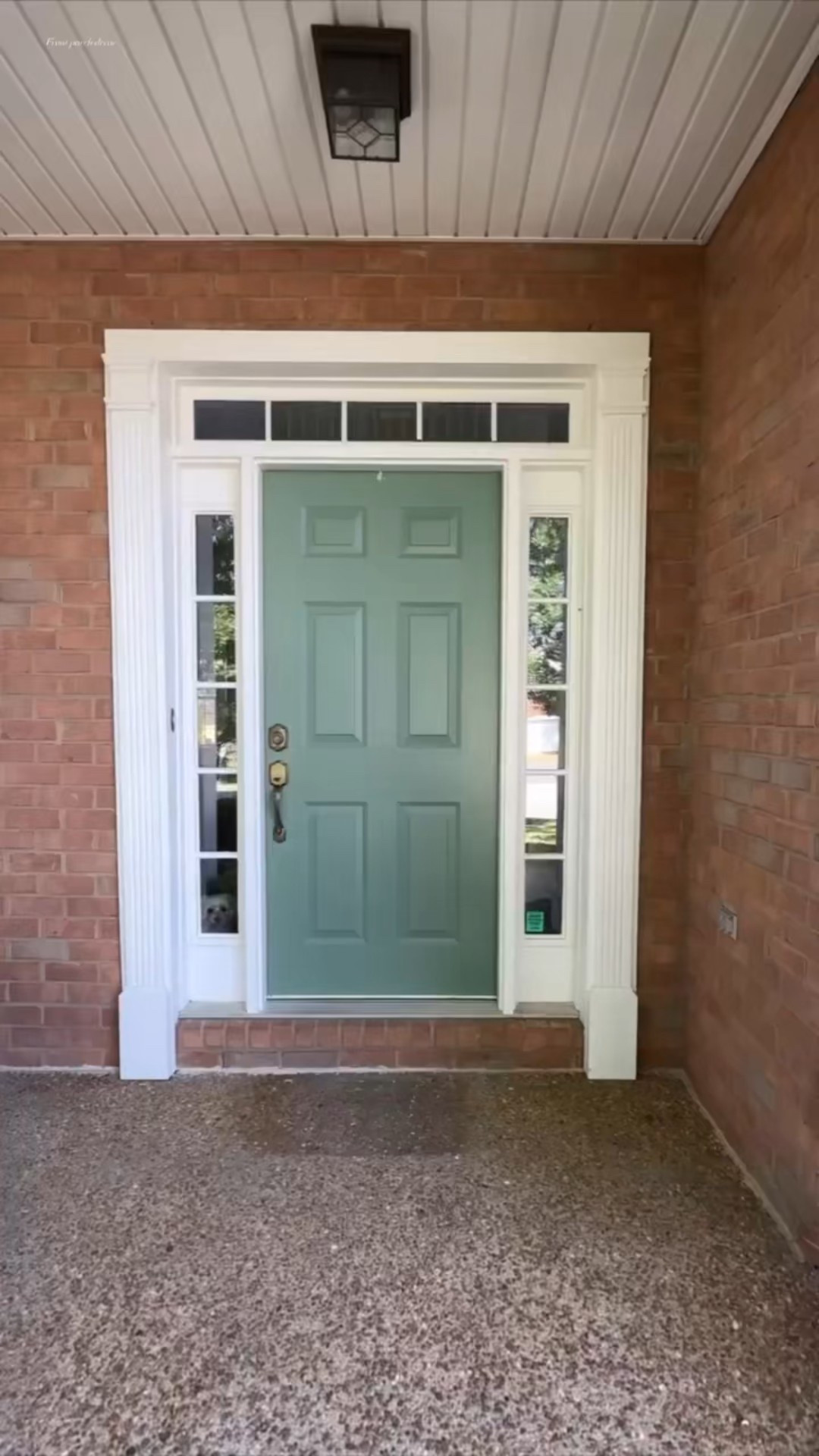 Follow along for home, beauty, baby and life stuff. Let me know if you like posts like this by hitting the like button ❤️ if you have a black thumb like me you’ll love these realistic faux plants! I am so excited our new house has a covered porch to decorate 
.
.
.
#summerdecor #outdoorspace #porchdecor #patiodecor #porch #outdoordecor #frontporchdecor #frontporch #nancymeyersaesthetic

#LTKHome #LTKSeasonal #LTKSaleAlert