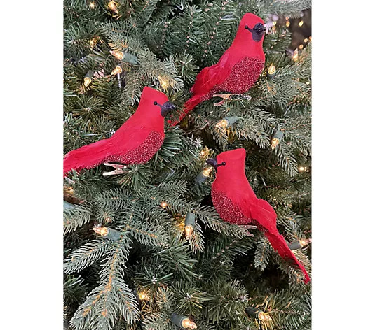 Simply Stunning Set of 3 Winter Cardinal Clips by Janine Graff - QVC.com | QVC