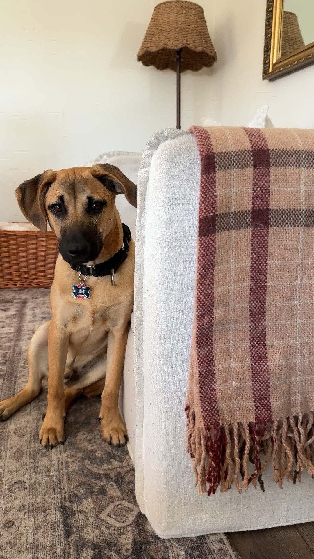 My chairs, plaid throw, rug, and lampshade are all on sale  

#LTKHome #LTKSaleAlert #LTKSeasonal