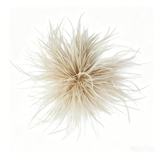 Ostrich Feather Brooch Pins,Oversized Corsage Hair Clip, Elegant Lapel Pin (Champagne) | Amazon (US)