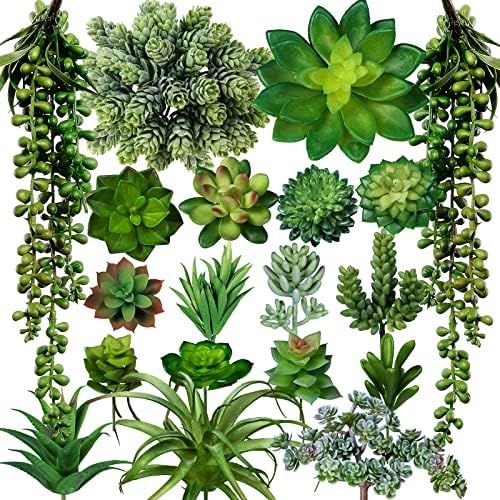 Winlyn 19 Pcs Assorted Artificial Succulents Plants Unpotted Small Green Aloe Hops Cactus String of  | Amazon (US)