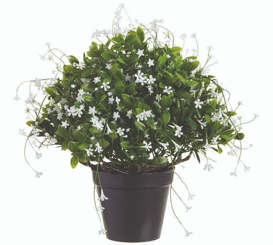 Outdoor Safe Potted Baby's Breath and Trumpet Flower | Pottery Barn (US)
