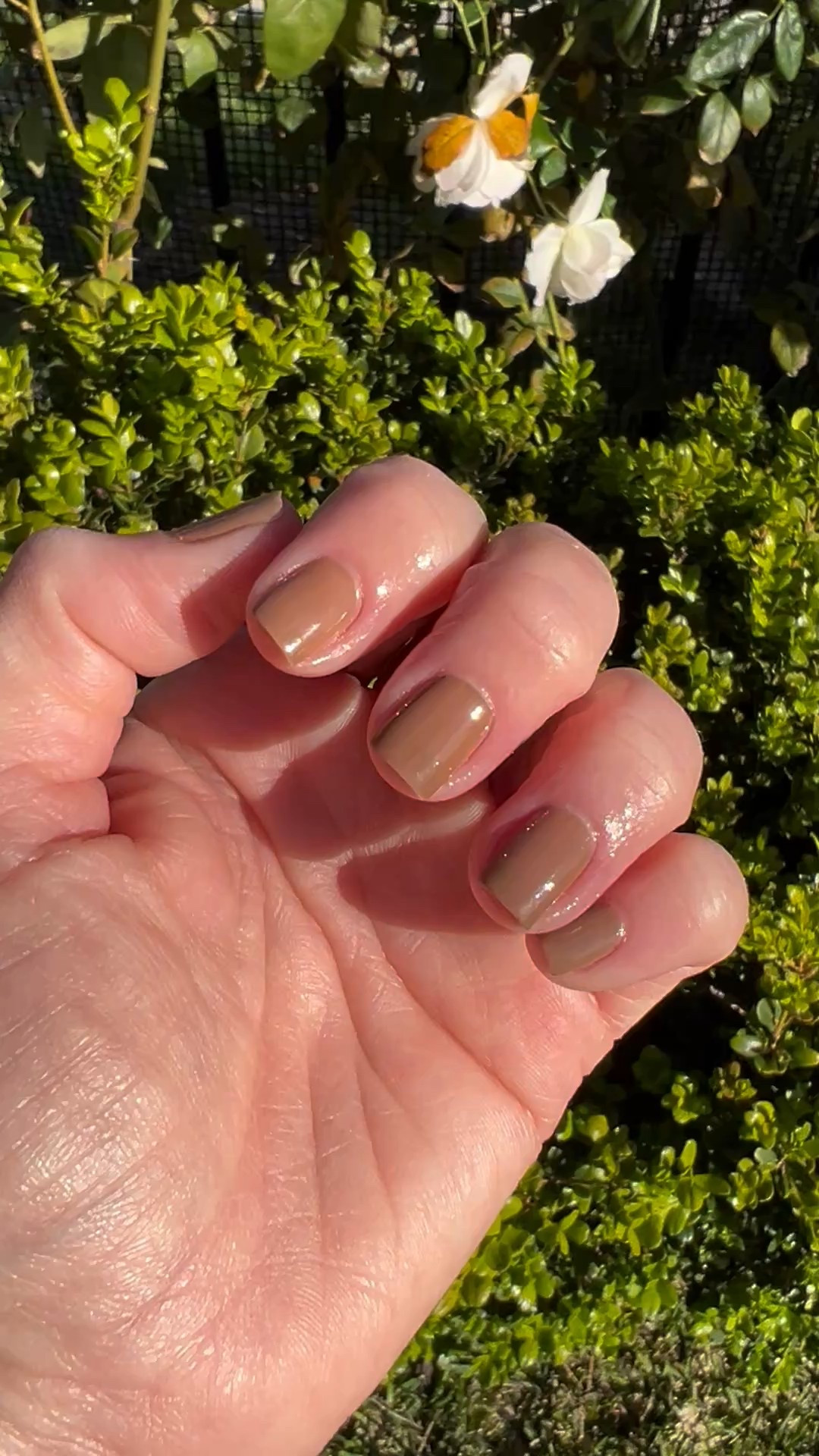 Weekend nails! I’m all for a good neutral. 🤎 The cuticle oil pen I used is 🙌🏽

#LTKBeauty