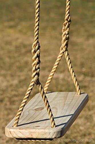 Wood Tree Swing - Great Outdoor or Indoor Premier Wooden Tree Swing for Adults or Children - Ready t | Amazon (US)