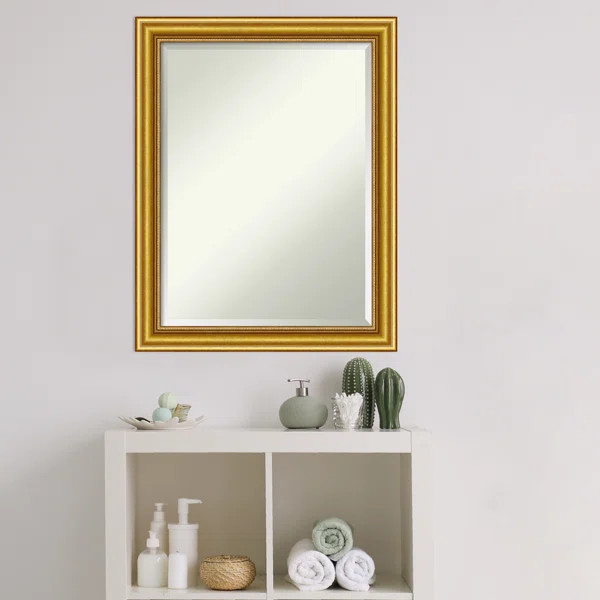 Traditional Beveled Bathroom/Vanity Mirror | Wayfair North America