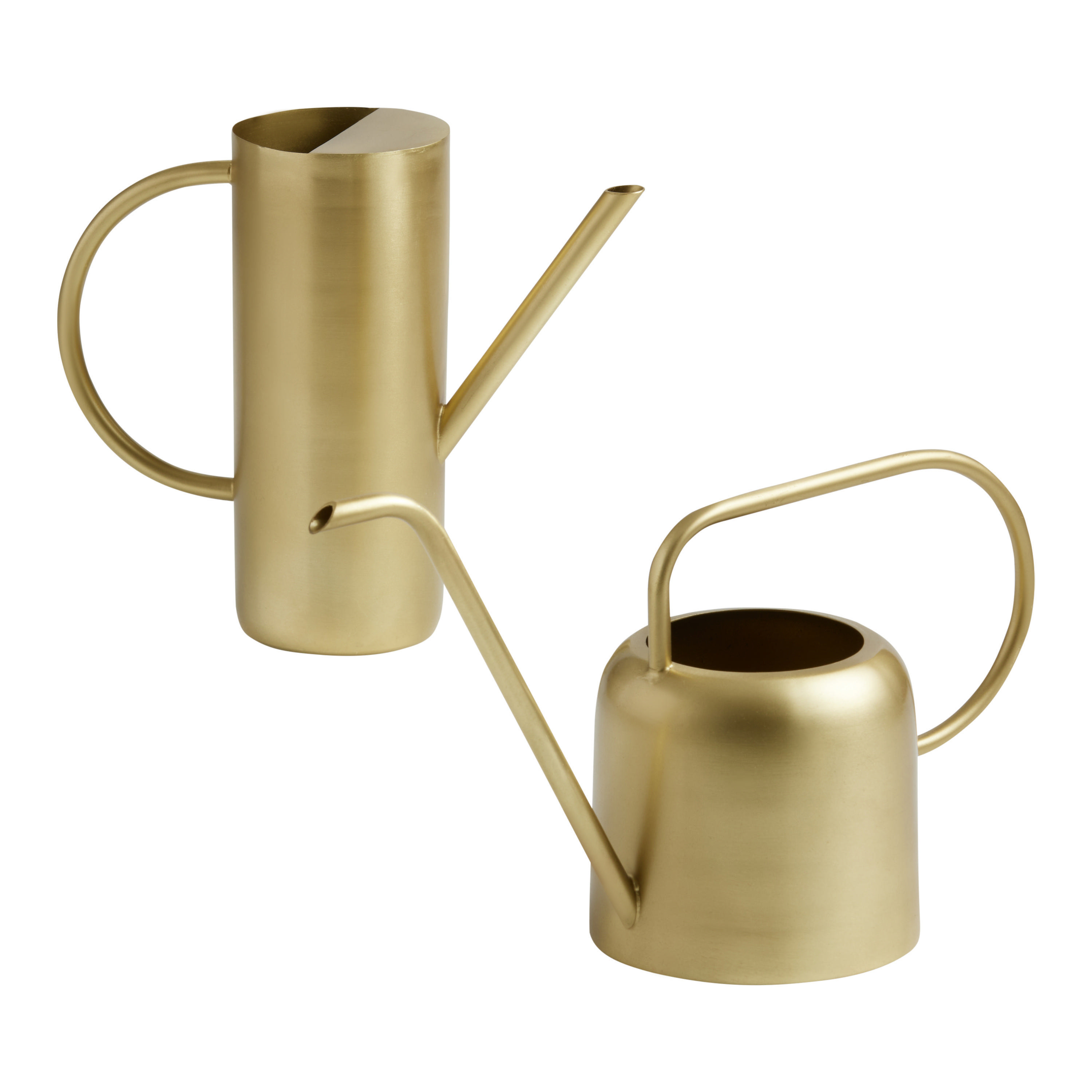 Gold Iron Watering Can | World Market