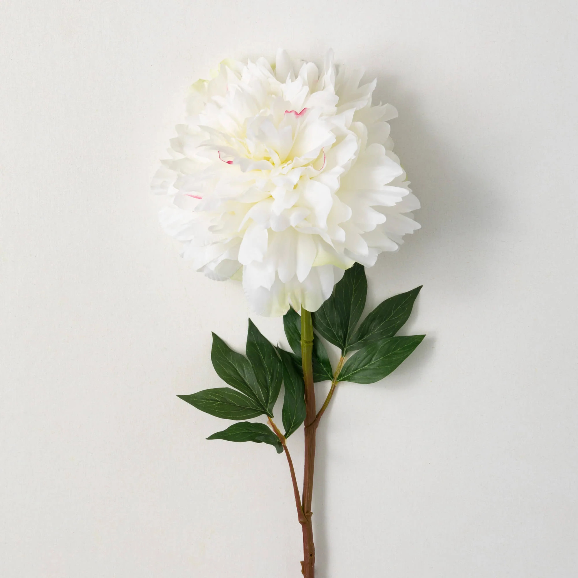 Off White  Peony Stem - 34" Long | Eco Chic Home