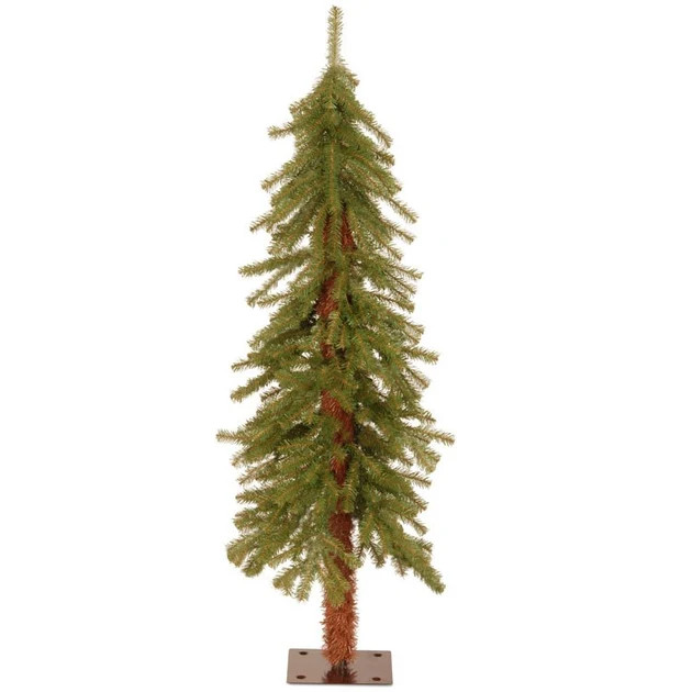 4' Hickory Cedar Tree | Riverbend Home