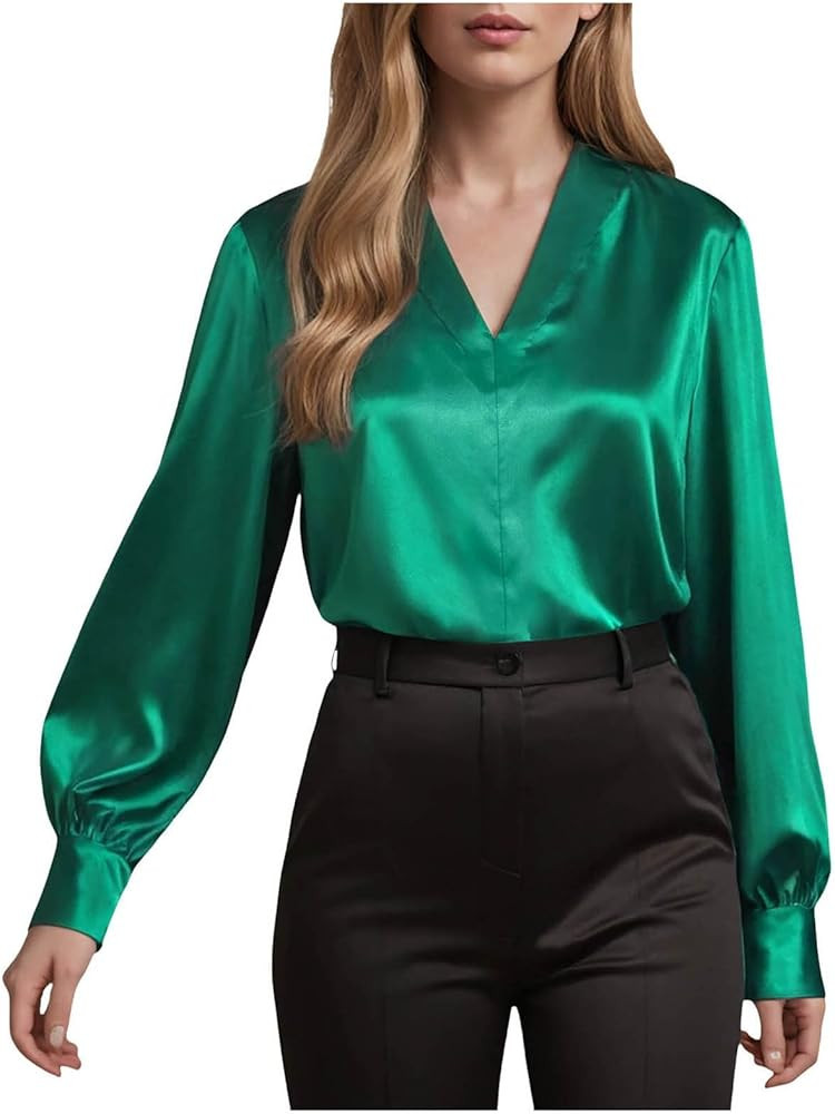 Women's Blouses Elegant Dressy Casual Satin Silk Blouses V Neck Long Sleeve Shirts Business Casual Tops | Amazon (US)