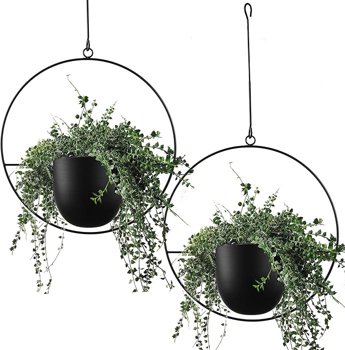 2 Pcs Hanging Planters for Indoor and Outdoor Plants with Hooks and Chains, Metal Modern Wall Cei... | Amazon (US)