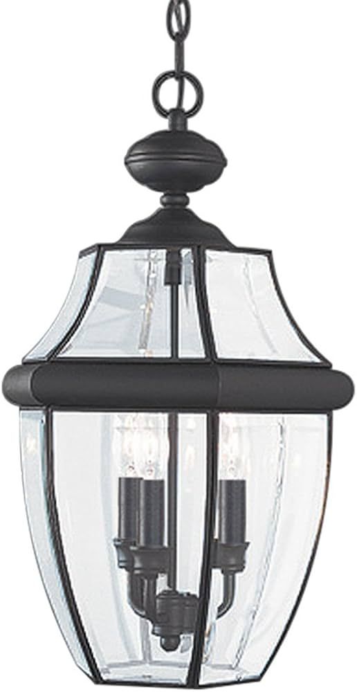 Sea Gull Lighting 6039-12 Lancaster Outdoor Pendant Lantern Outside Fixture, Three - Light, Black | Amazon (US)