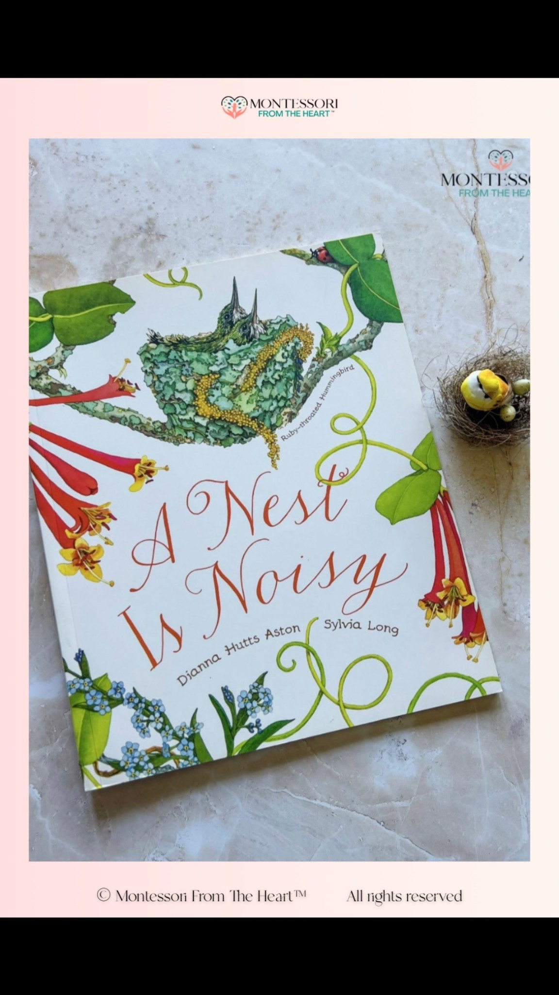 A Nest is Noisy ~ Book for Kids 

#LTKstorytime #LTKHome #LTKKids
