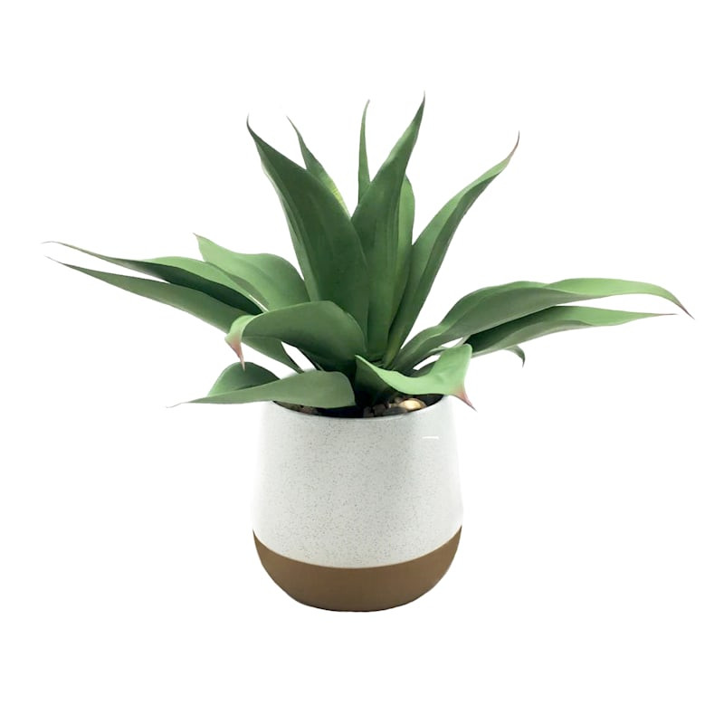 Honeybloom Greenery Plant with White Planter, 14"








	
		
		
			
				4.9
			
			
				(
				4... | At Home