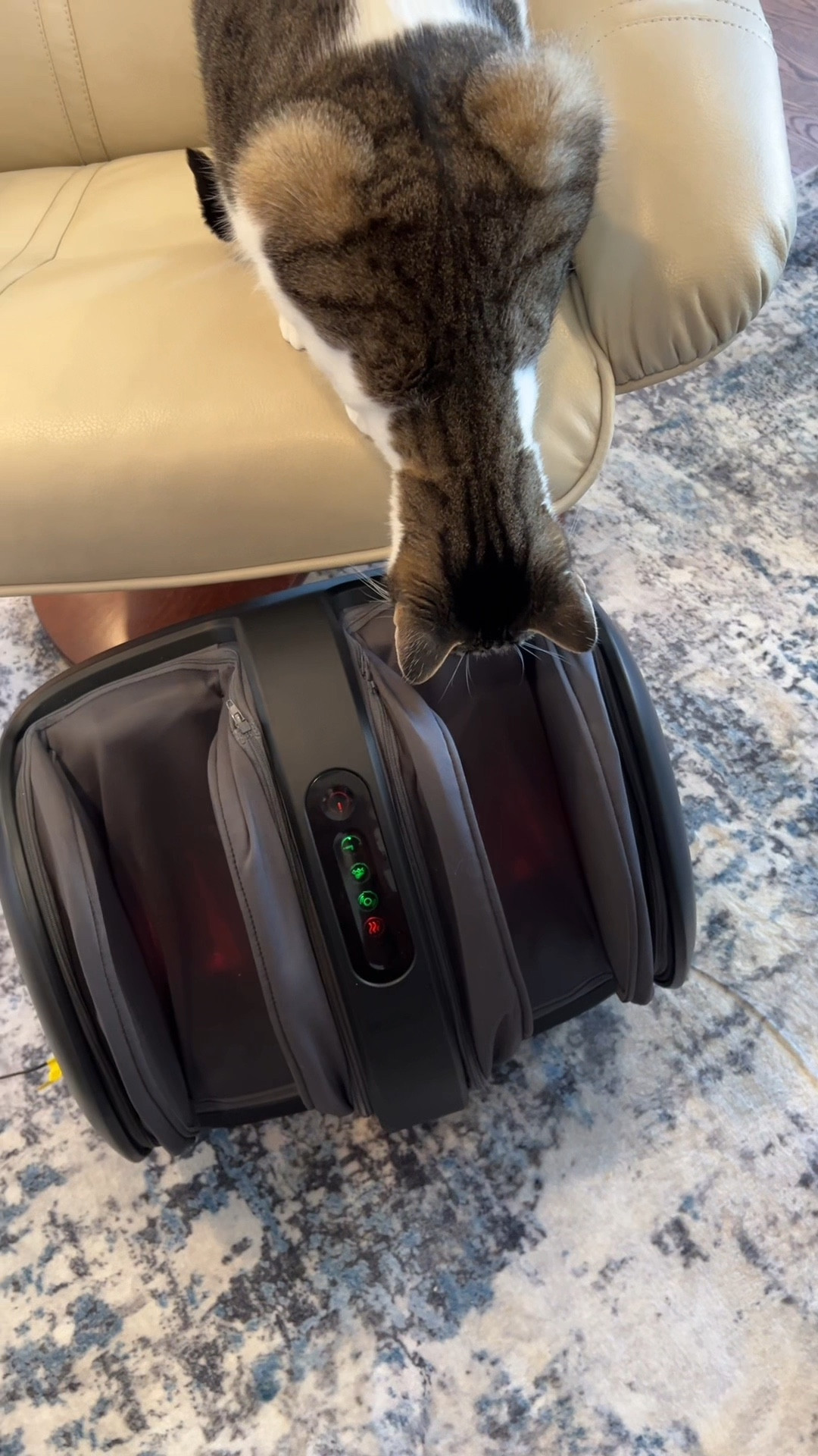 Inspector #CatCoraline checking out my new and much needed calf and foot massager. She was entranced by the heating and pressure options.  
She was safe and had a spotter at all times. 
Items like this help those of us recover from pain and muscle strain  

#LTKhome #LTKfitness #LTKVideo