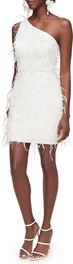 Twinkle in Time Feather Lace One-Shoulder MinidressANNE BARGE | Nordstrom