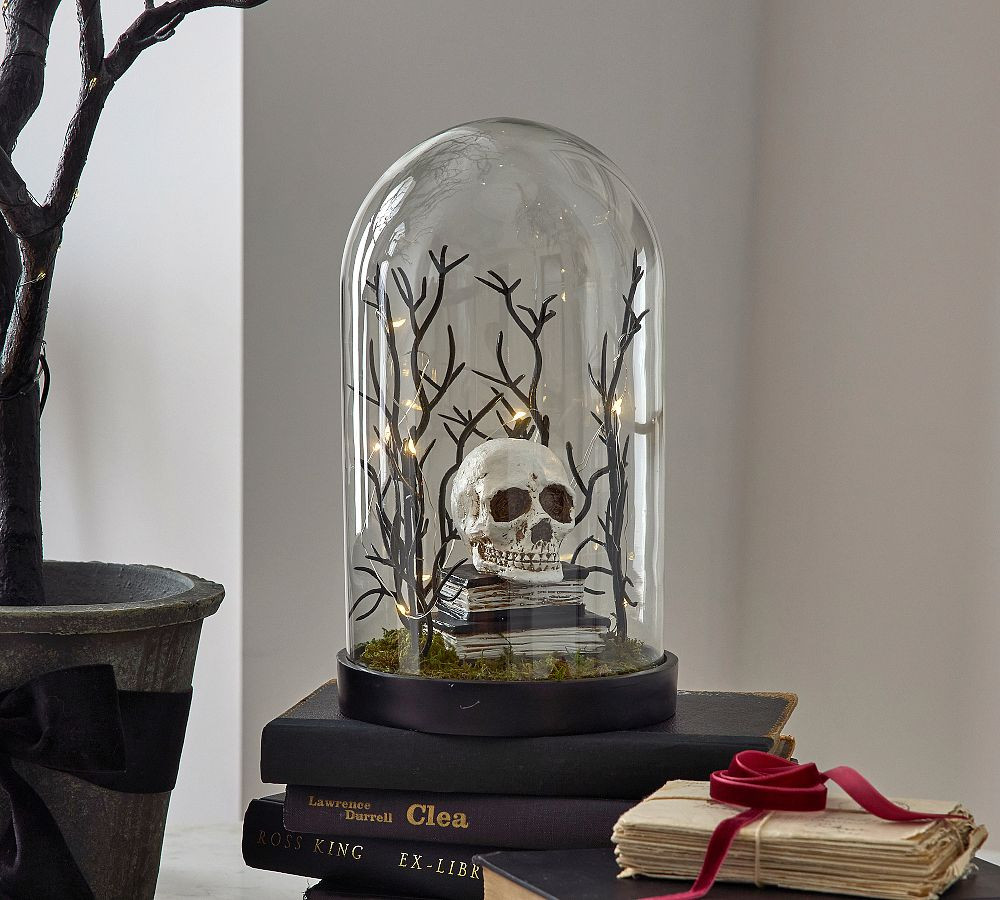 Lit Skull Cloche | Pottery Barn (US)