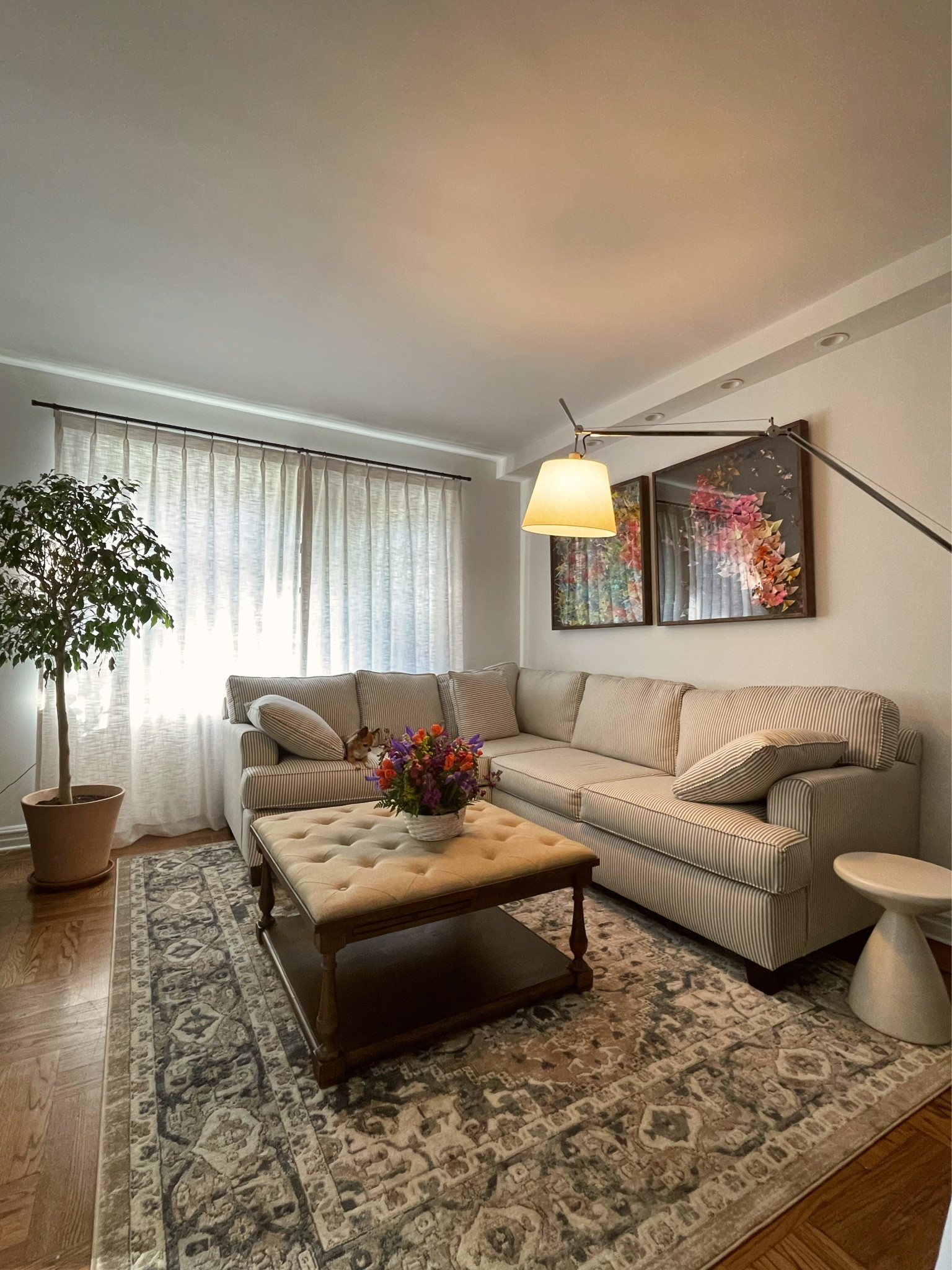 Living room is slowly coming together… 

#LTKFind #LTKhome