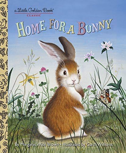 Home for a Bunny (Little Golden Book) | Amazon (US)