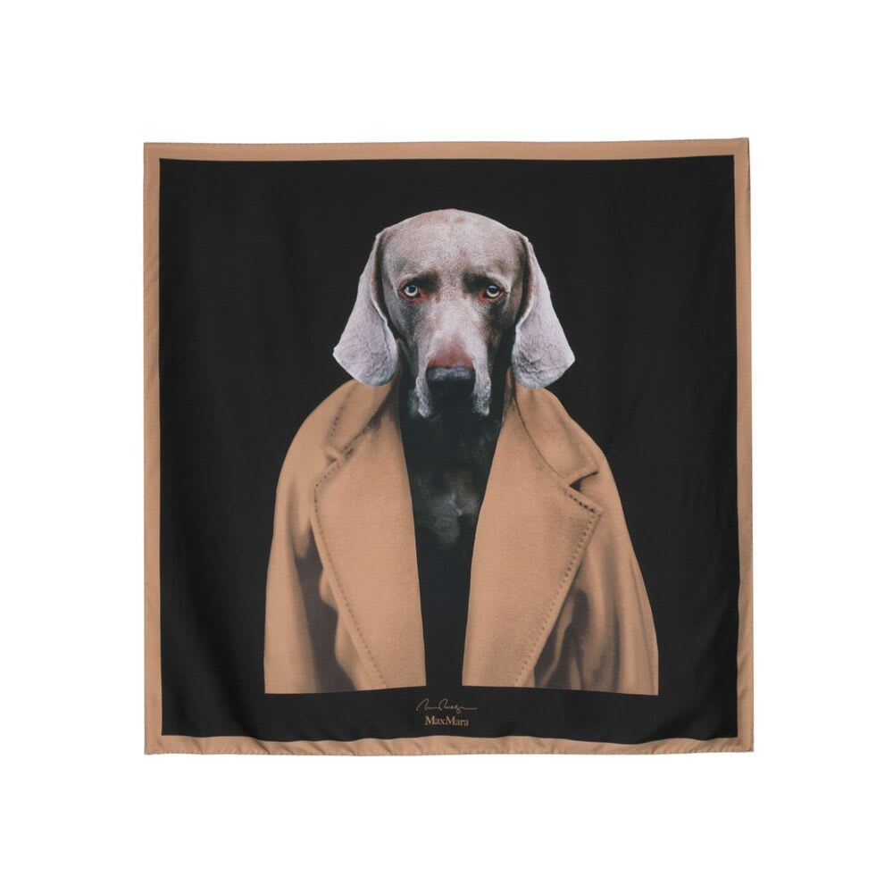 Max Mara Scarf | Italist.com US
