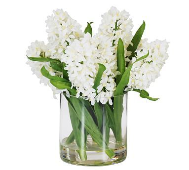 Faux Hyacinth in Cylinder Glass | Pottery Barn (US)