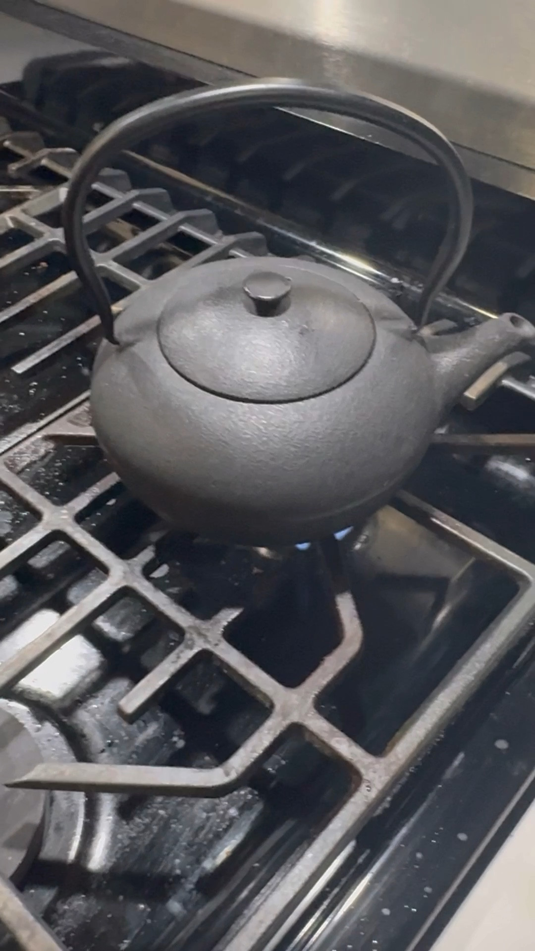 I love a good cast iron tea pot! They last a lifetime and are great quality! 

#LTKVideo #LTKHome #LTKHoliday