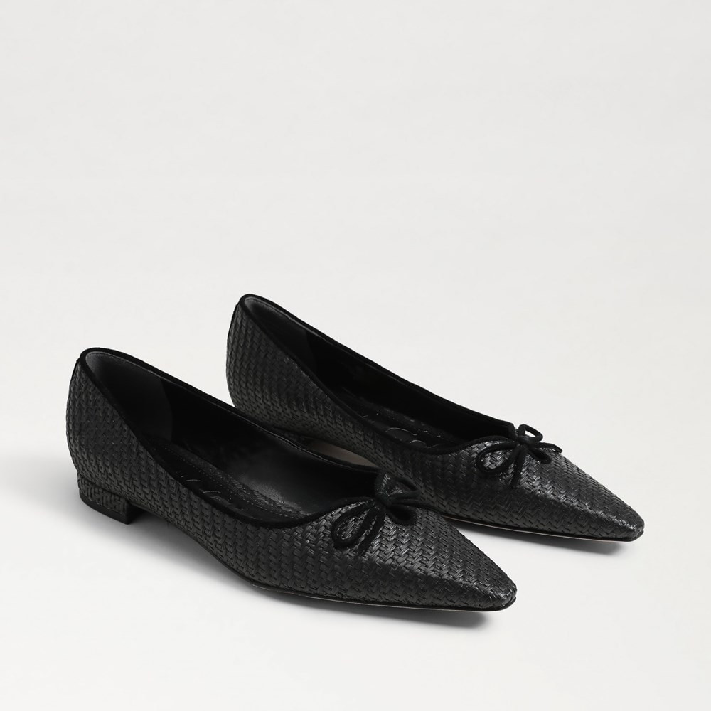 Esmira Pointed Toe Ballet Flat | Sam Edelman