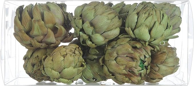 Creative Co-op Boxed (Set of 9 Styles) Dried Artichokes, Green | Amazon (US)