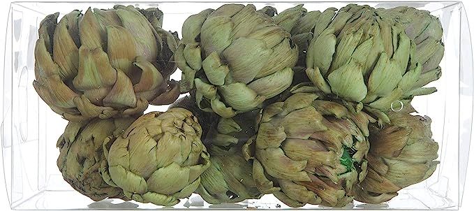 Creative Co-op Boxed (Set of 9 Styles) Dried Artichokes, Green | Amazon (US)
