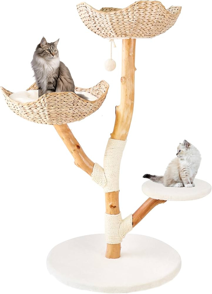 Real Wood Modern Cat Tree Tower for Indoor Cats Large Adult, Wooden Cat Tower with Scratching Pos... | Amazon (US)