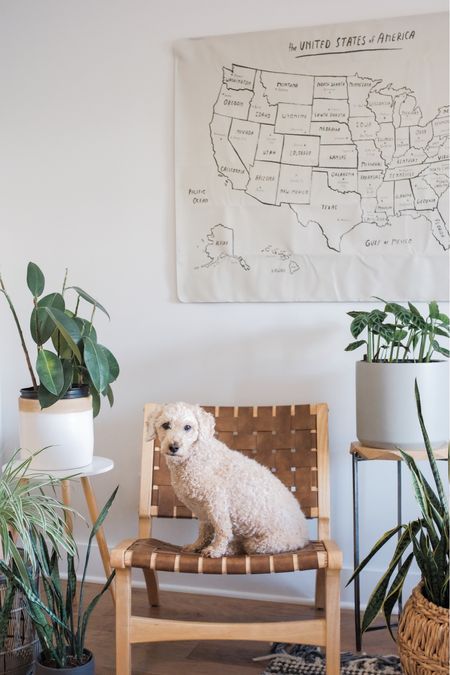 Sweet Finn boy! 

Home decor, home furniture, faux plants, plant decor, plant stands, leather map, wall decor, rug, accent chair, leather chair

#LTKhome