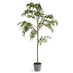 Celeste French Country Green Potted Maple Tree | Kathy Kuo Home