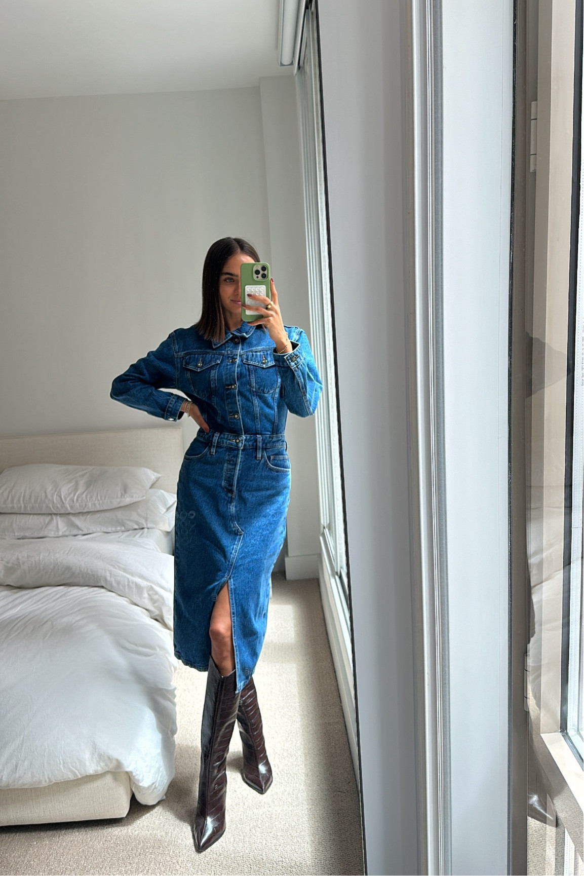 favorite daughter denim dress