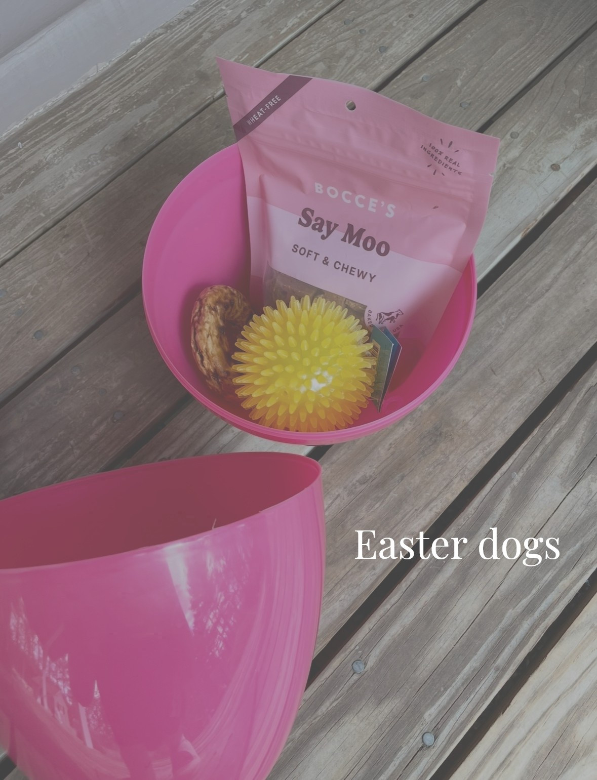 #LTKPets Easter for the dogs 🩵

#LTKSeasonal #LTKSpringSale