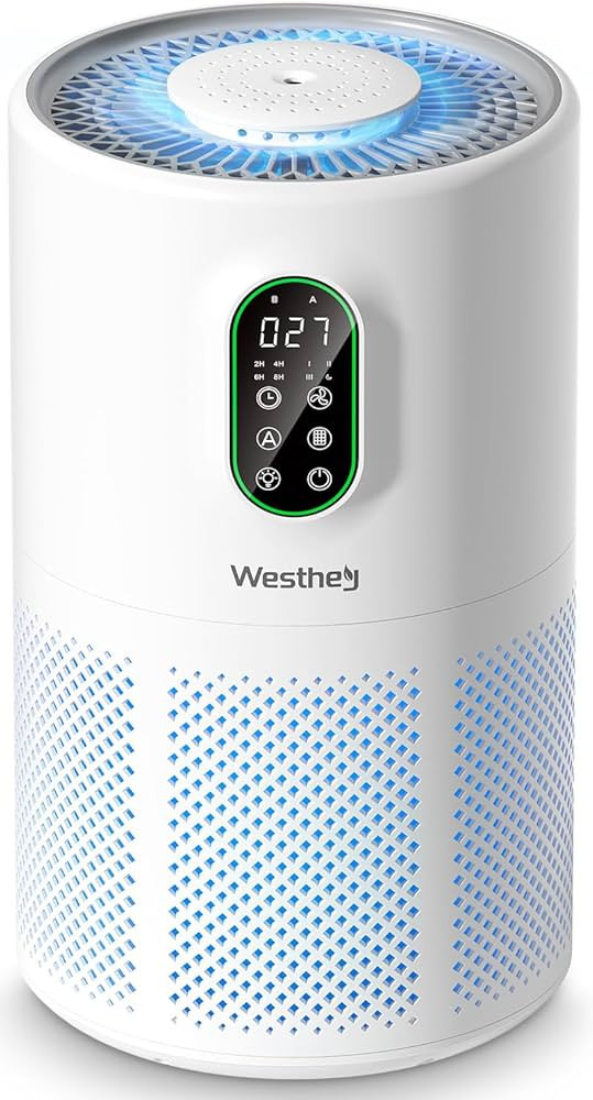 Air Purifiers for Home Large Room up to 1450 ft², WESTHEY H13 True HEPA Air Purifier for Bedroom... | Amazon (US)