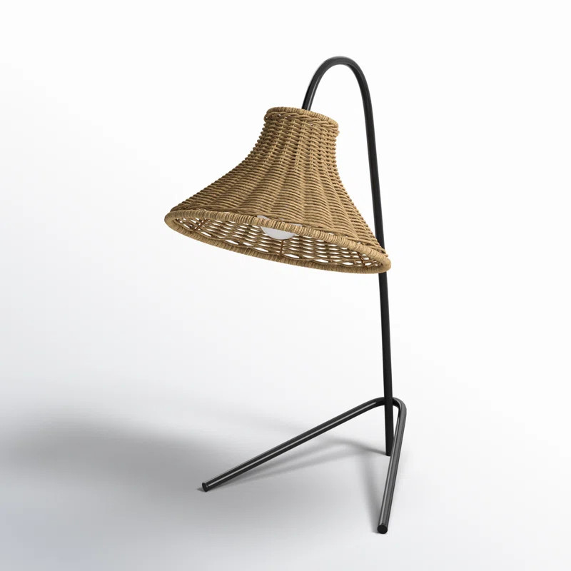Bola Iron Desk Lamp | Wayfair North America