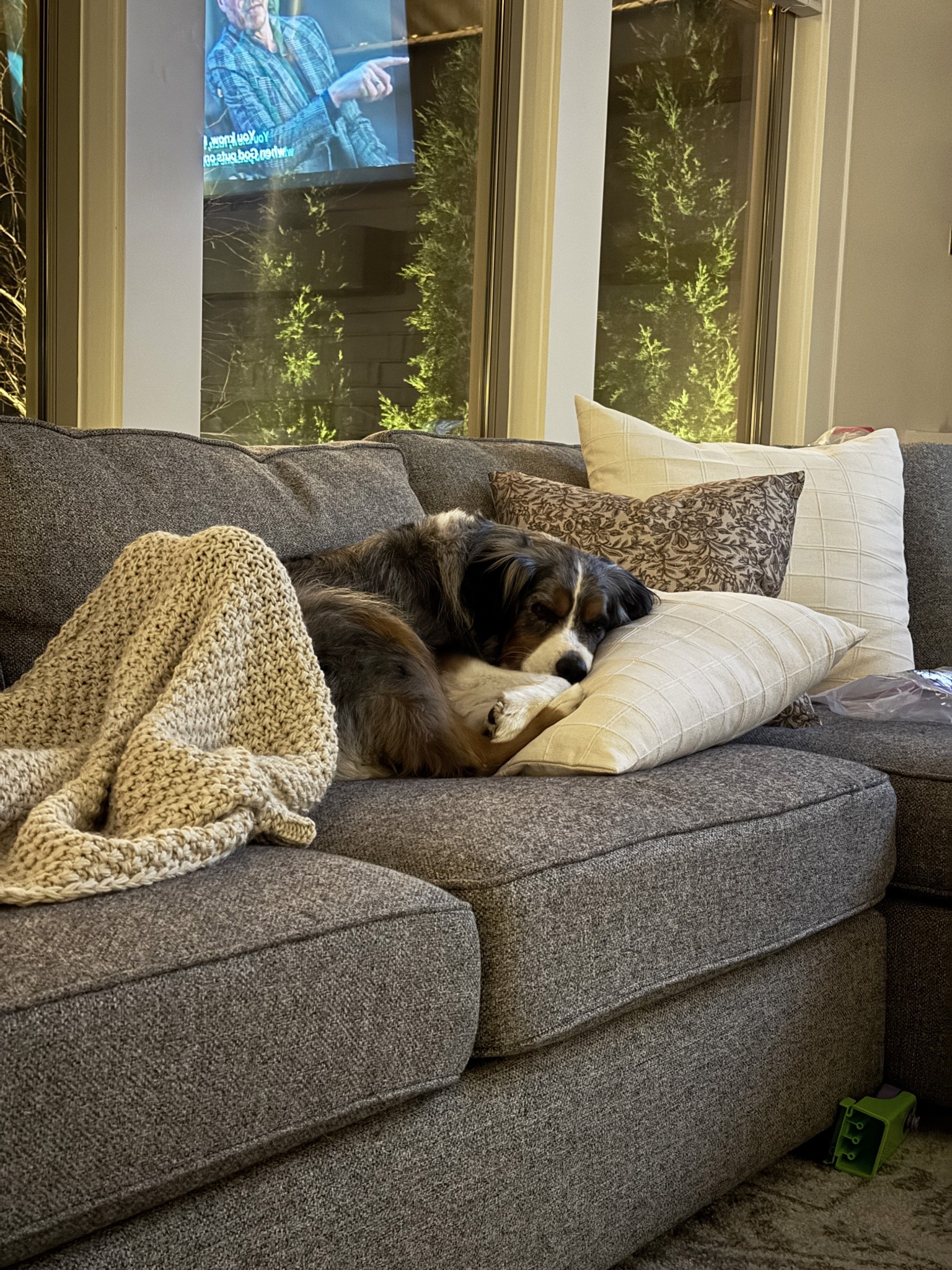Obsessed with these new throw pillows in the living room! Some from Target, others pillow inserts and covers from Amazon, super comfy and affordable 

Plus throw blanket from Target 

Spring home refresh 

#LTKSpringSale #LTKHome #LTKSeasonal