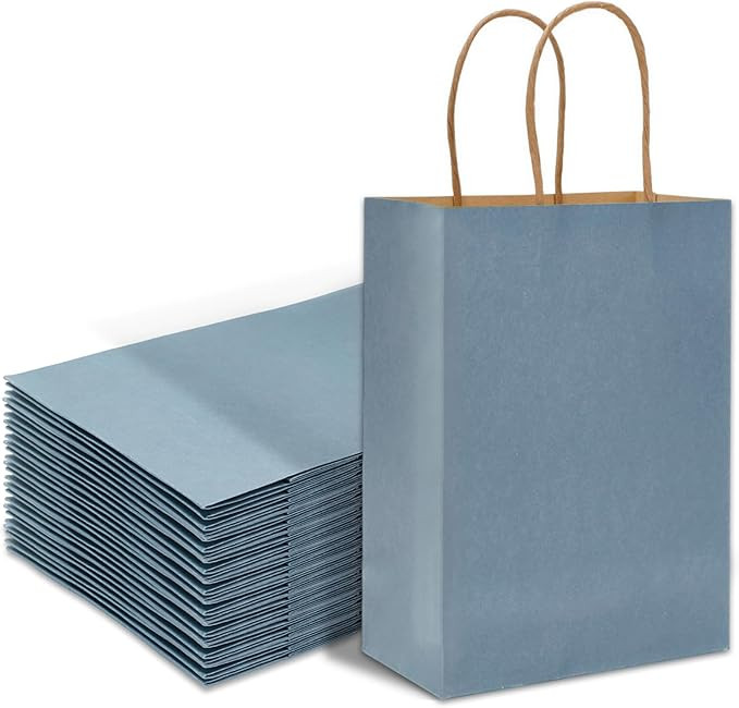 Whaline 24Pcs Dusty Blue Kraft Paper Bags Calming Blue Gift Bags with Handles Candy Goodie Treat ... | Amazon (US)