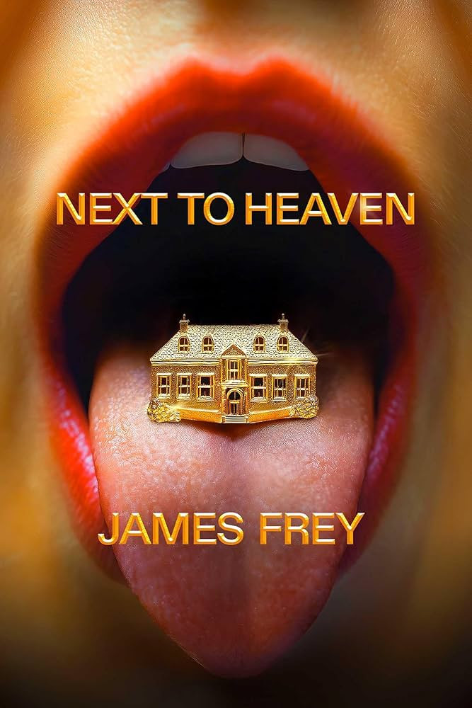 Next To Heaven: A Novel | Amazon (US)