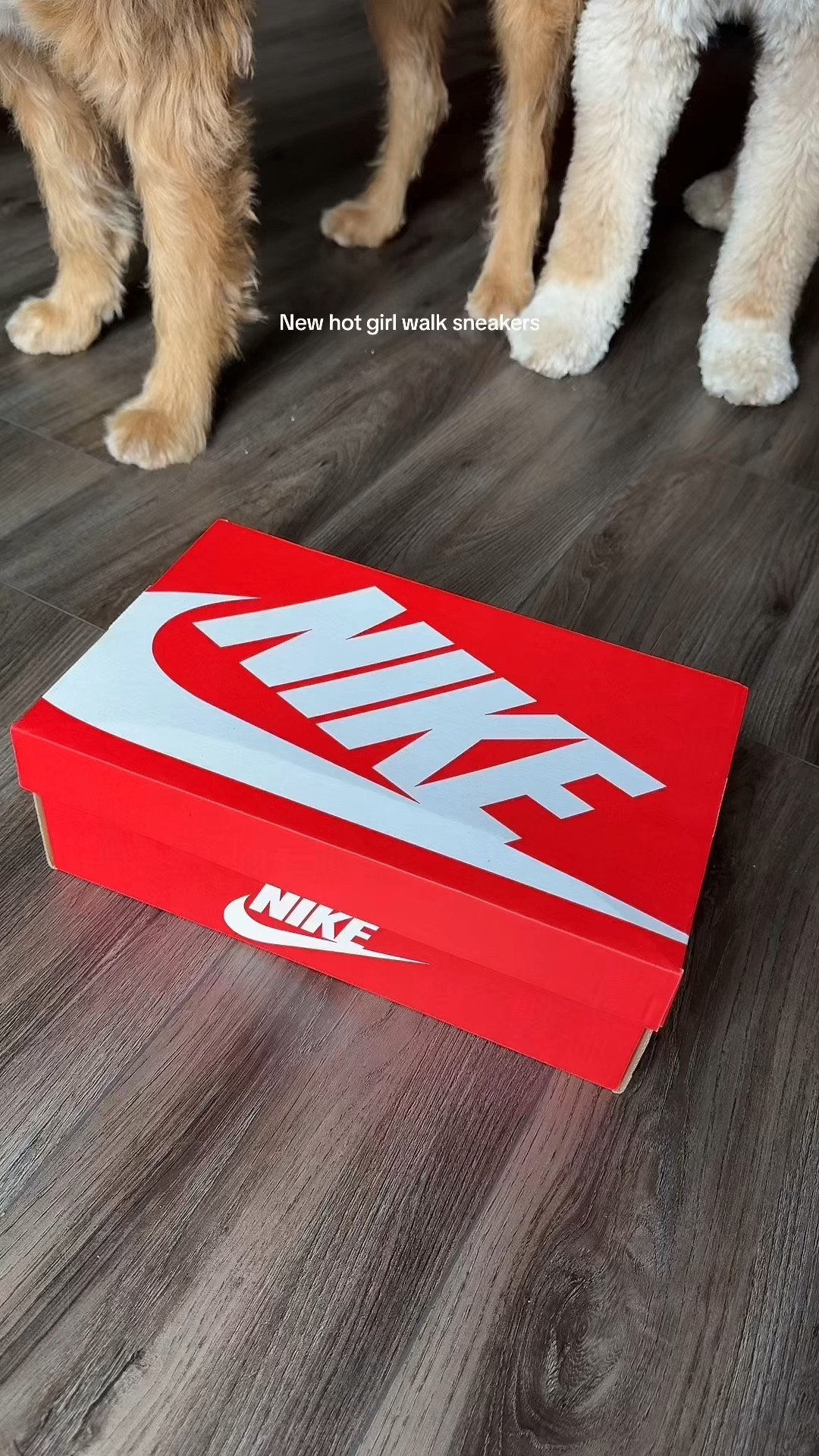 The perfect hot girl walk sneakers👟

#LTKstyletip #LTKshoecrush #LTKVideo