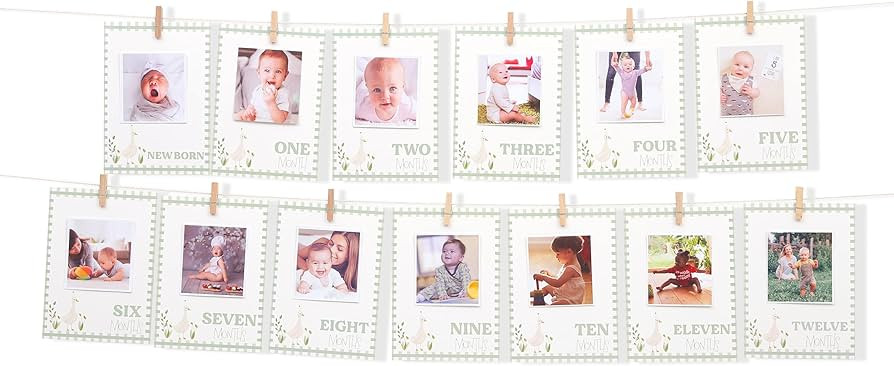One Silly Goose Photo Banner- Green Goose Monthly Photos Garland Decoration, Editable Goose 1-12 ... | Amazon (US)