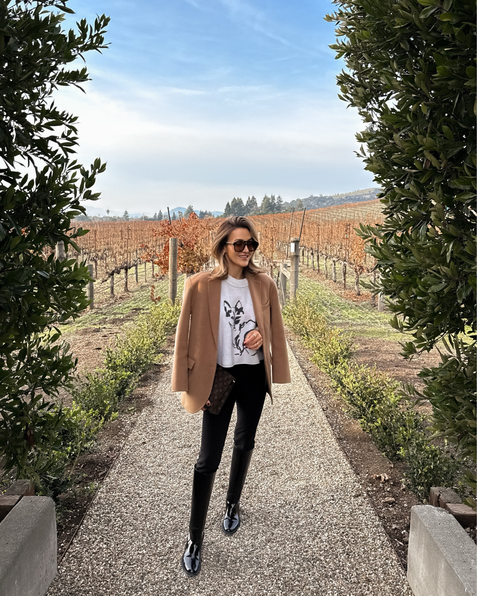 Wine tasting outfit - my most worn boots (worth every penny, size up) 
The pants I snagged at the Nsale and wear so much, it’s perfect tucked in the boots as a legging style pant or for work or parties w pumps! Cropped cashmere sweater is available in some colors but sold out with cat print. Another piece I wear to death is this wool blazer xs fits oversized 

#LTKShoeCrush #LTKSeasonal #LTKStyleTip