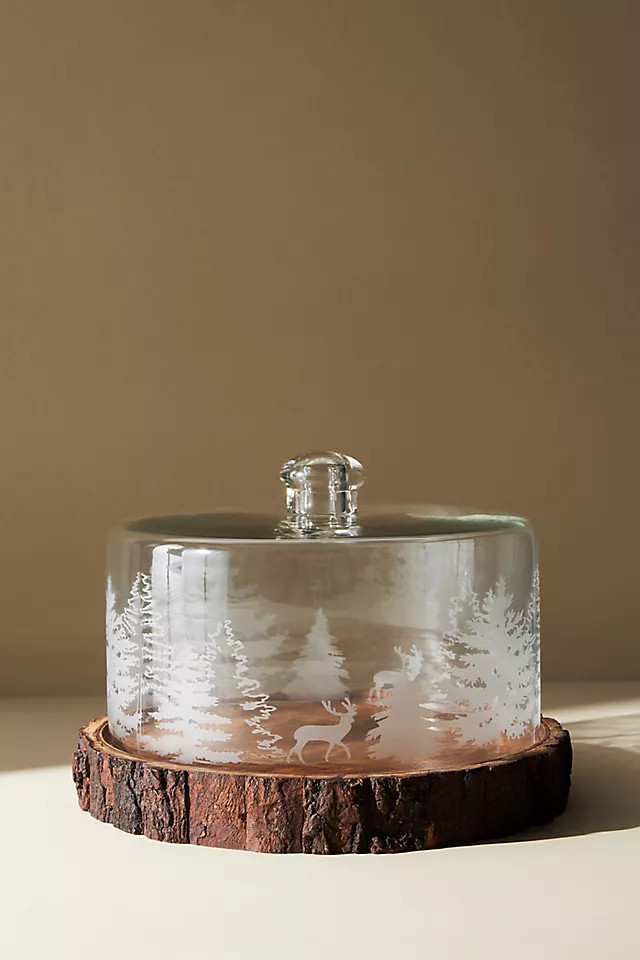 Balsam Cloche | Anthropologie (US)