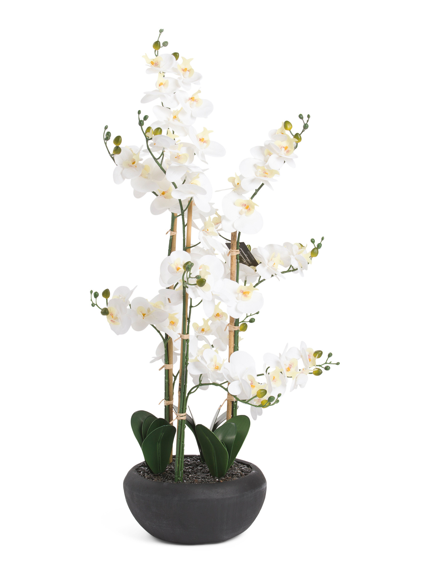 38in Real Touch Orchid | TJ Maxx