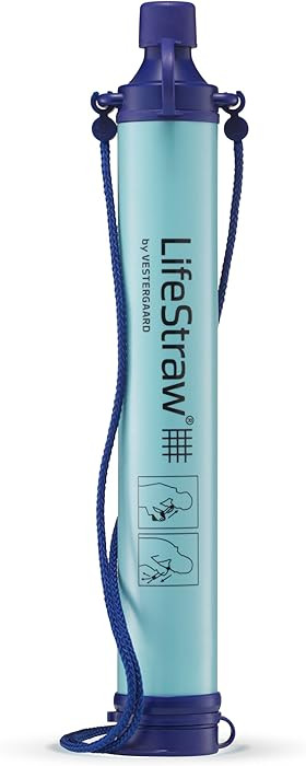 LifeStraw Personal Water Filter for Hiking, Camping, Travel, and Emergency Preparedness | Amazon (US)