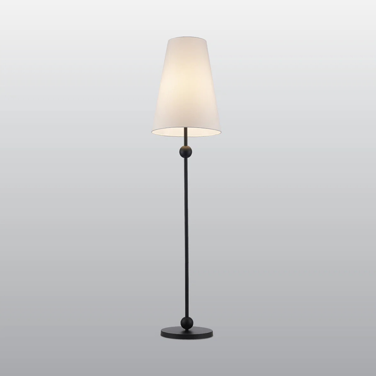 Kael 1 - Light Floor Lamp | Wayfair North America