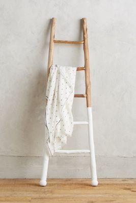White-Dipped Ladder | Anthropologie (US)